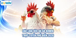 Các Loại Kèo Đá Gà Kuwin | Trực Tuyến Phổ Biến 2026