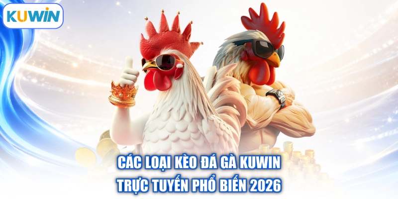 Các Loại Kèo Đá Gà Kuwin | Trực Tuyến Phổ Biến 2026